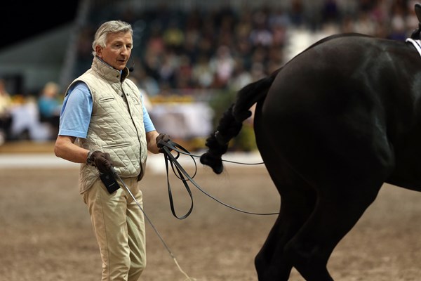 DT-In-Hand-Dressage-Training