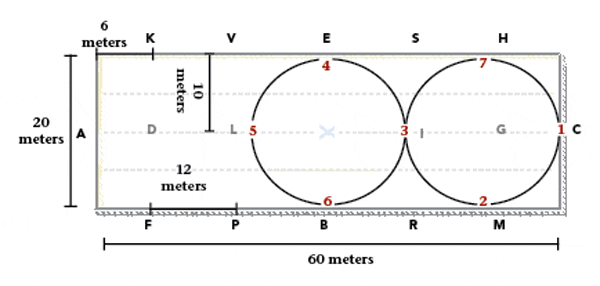 web-dressage-figure-eights