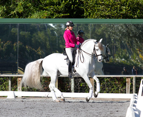 Photos by Susanjstickle