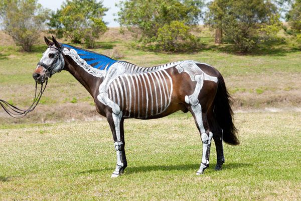 Photos by Deborah Kalas