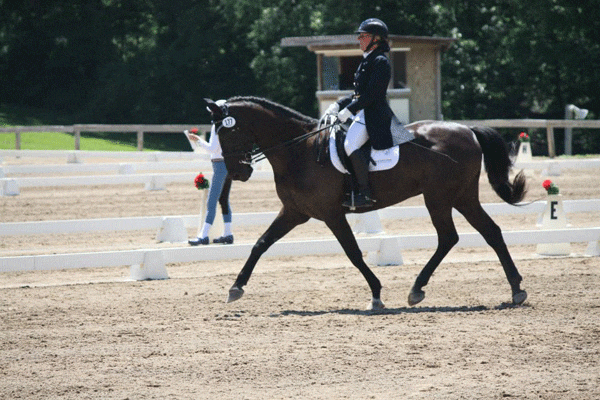 Rider-2-Barbara-Reis-Major-medium-trot