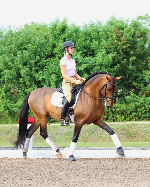 DTMP-130300-TIPCKD-01