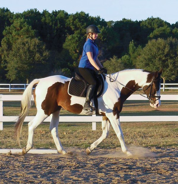 DTMP-130200-TRANSI01