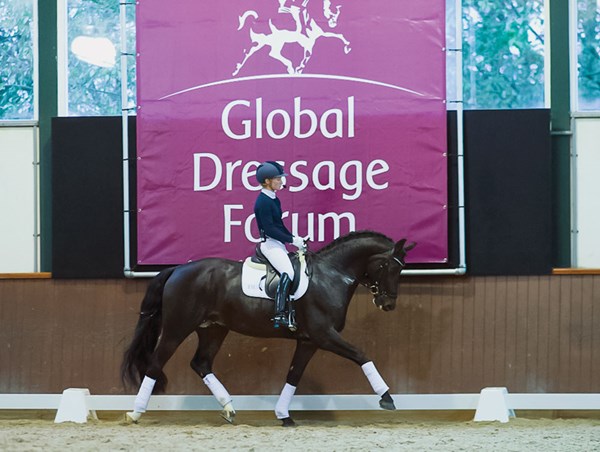 DTMP-130200-GLOBAL01