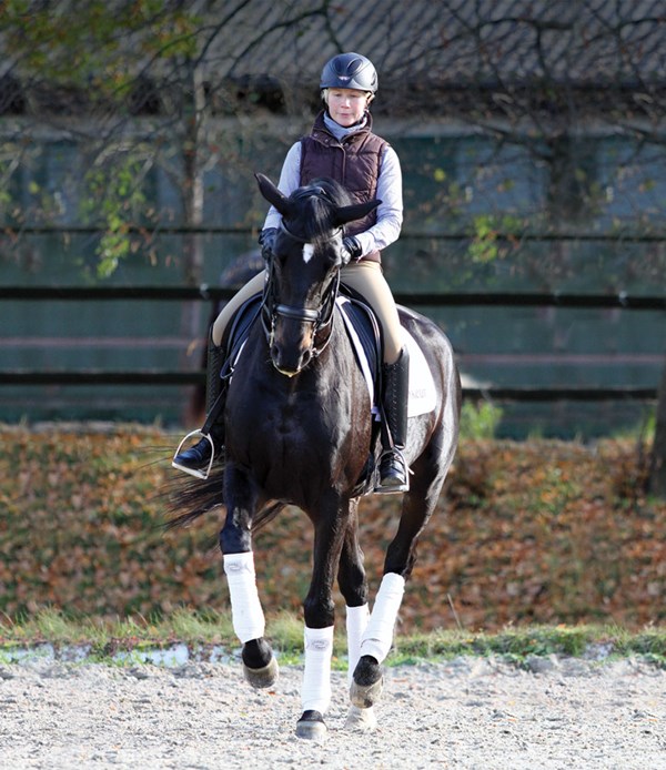 DTMP-130600-HUBERT-01