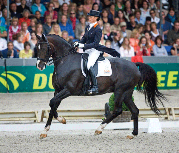 dtmp-141200-experts-07