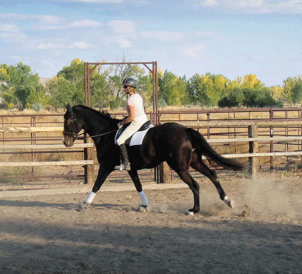 dtmp-141200-clinic-02