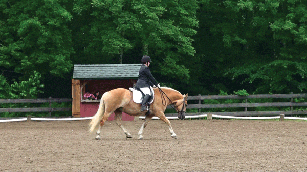 sherri-aharonian-dressage-today