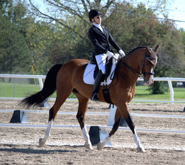 elise-elman-and-moncasin-dressage-today