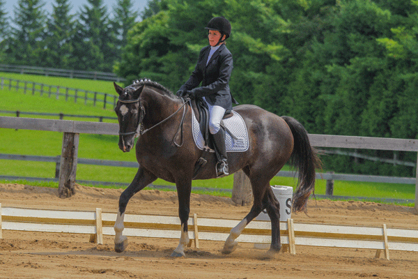 jennifer-moore-flash-gordon-dressage-today