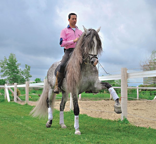 DTMP-130800-SPANISH-01