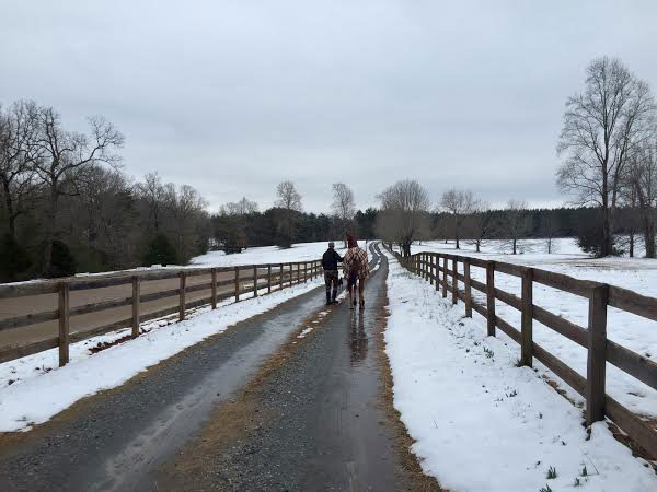 1-Pam-Stone-and-OTTB-Forrest