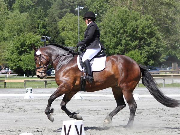 DTMP-131000-CLINIC-01