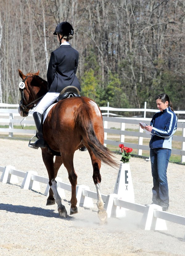 DT-01-dressage-test-reader