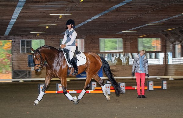 DTMP-150200-INGRID-01