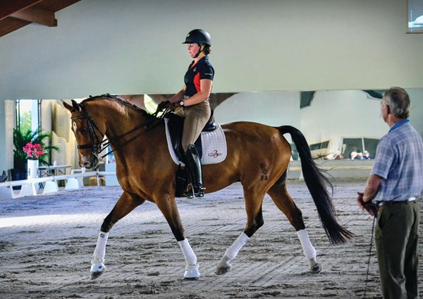 DT-01-stephen-clarke-usdf-convention