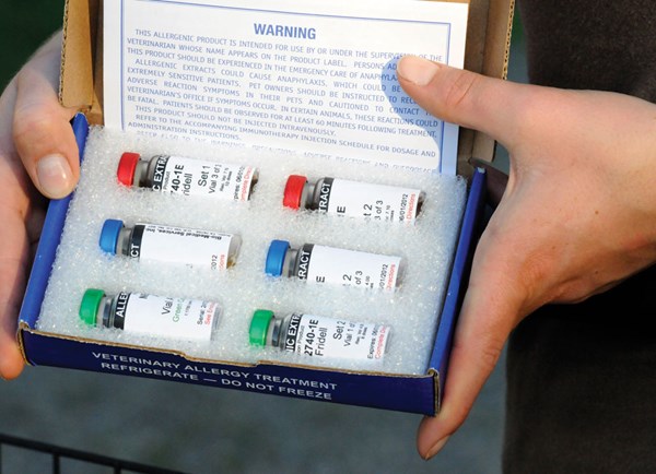 DT-equine-allergies-seasonal-01