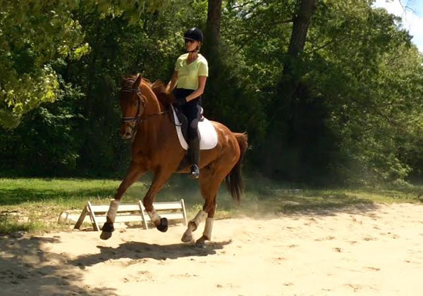 1-Pam-Stone-Forrest-OTTB