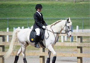 kat neis dressage today