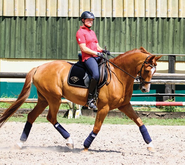 DT-01-hanne-brenner-paralympic-dressage