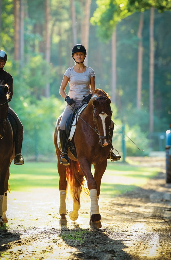 DT-01-summer-horse-health