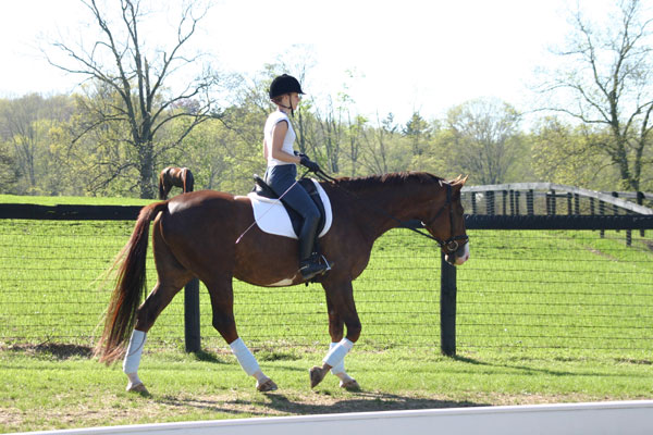 17-Margaret-Freeman-Dressage