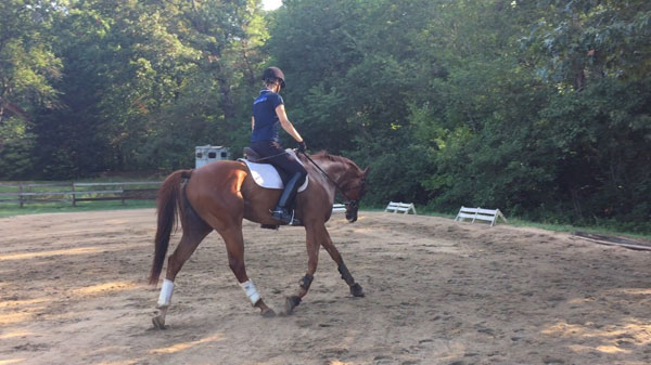 1-Pam-Stone-Forrest-Transitions