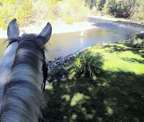 WEB-adrienne-lyle-Idaho-trail-ride