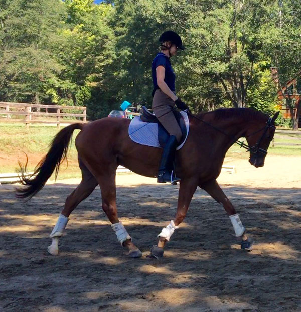 1-Pam-Stone-OTTB