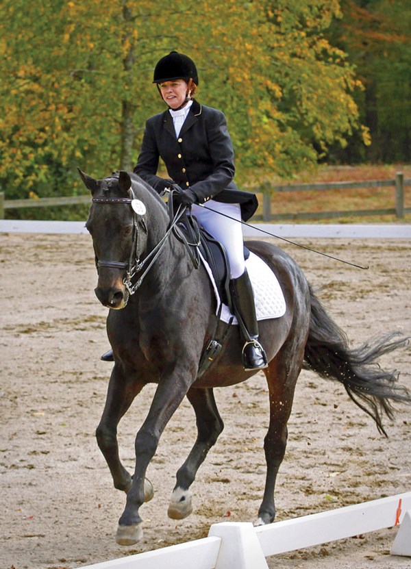 DT-01-dressage-on-budget