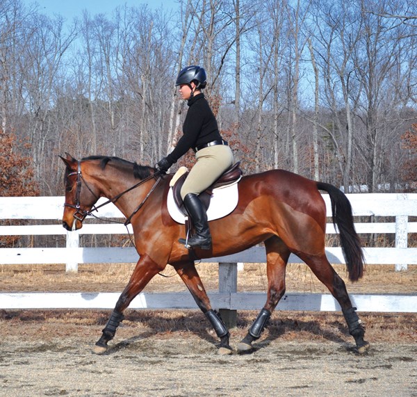 DTMP-120800-CLINIC-02-baytrot