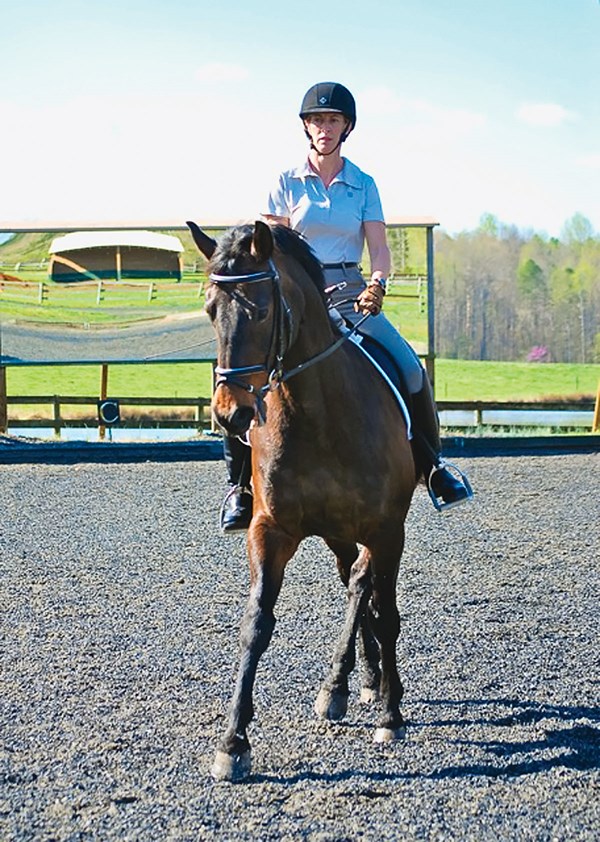 DTMP-111200-CLINIC-01-cg-dressagetrot
