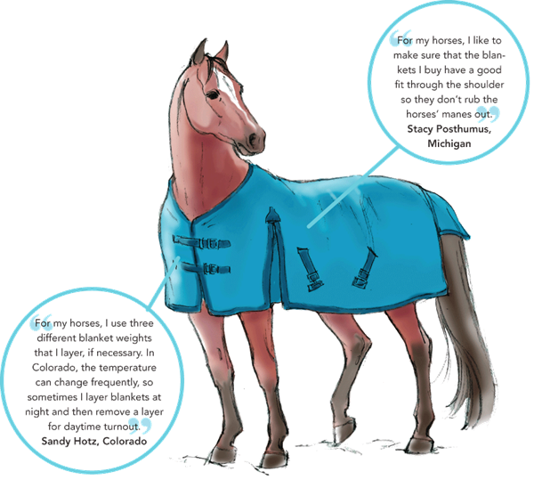 DT-01-horse-rider-winter-gear