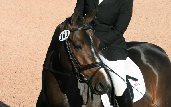 34-Dressage-Whip-Margaret-Freeman