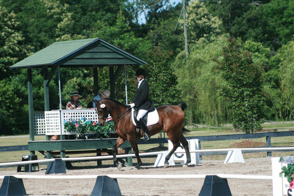 Aiken-Margaret-Freeman-Dressage-Judge