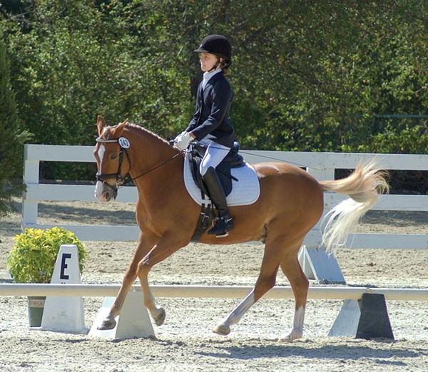 DTMP-130600-TRANSI-01