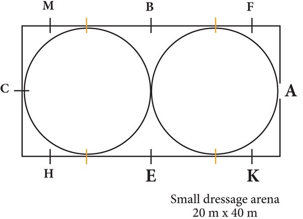 DT-03-exercise-small-srena-dressage