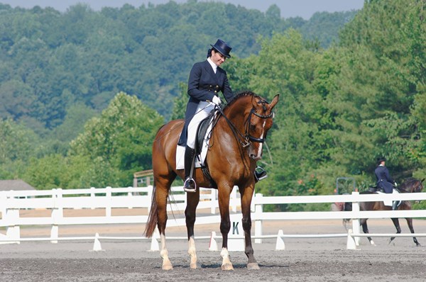 DTMP-120800-TRANSI-01-dressagehalt