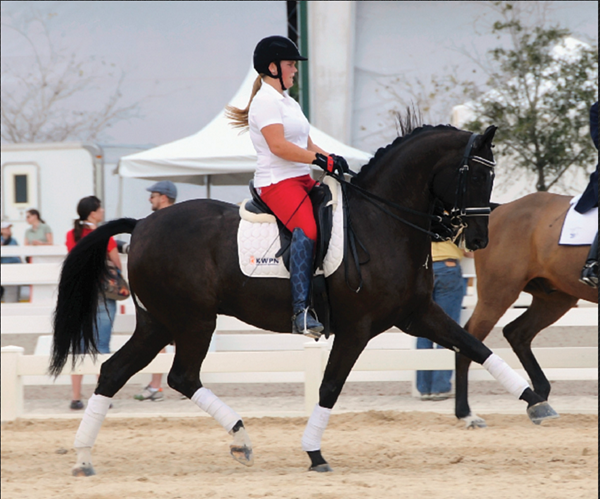 Screen shot 2016-02-23 at 2.28