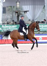 christer egerstrom and bello oriente