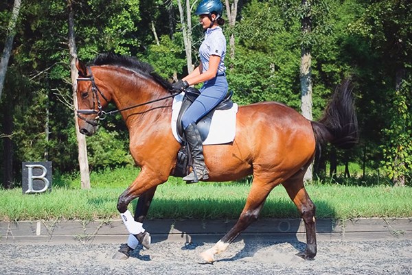 DTMP-111200-CLINIC-03-cg-dressagecanter