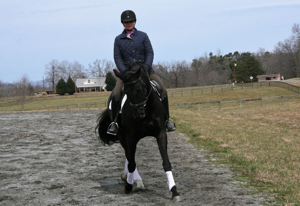 42-dressage-sand-line