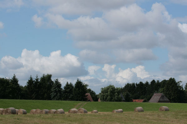 8-German-Countryside-IMG_3544