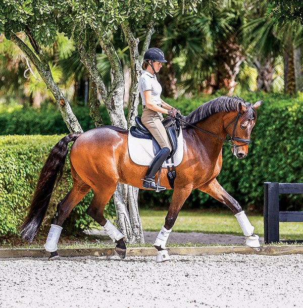 DT-01-lagoy-weltz-inside-aids-dressage