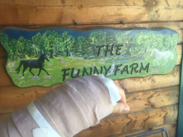 1-Pam-Stone-Dressage-wrist