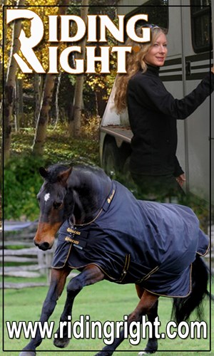 Riding Right DT-Fall-collage