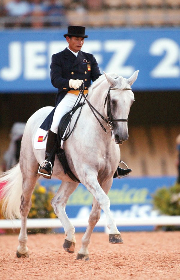 DT-01-iberian-horse-contact