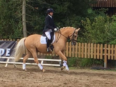 11-German-Dressage-Show