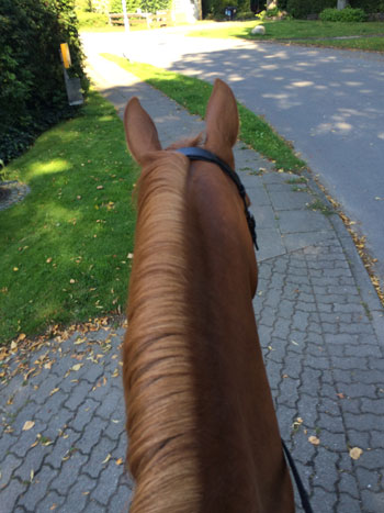 12-Germany-Trail-Ride