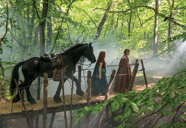 DT-01-majestic-friesians